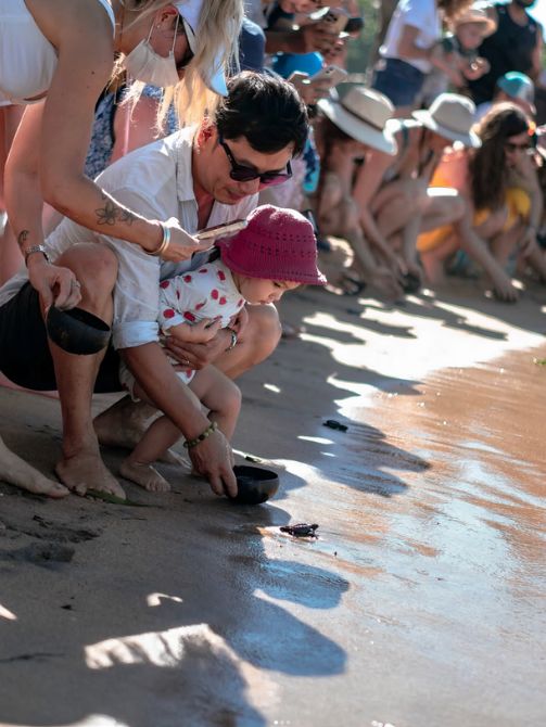 Turtle Release